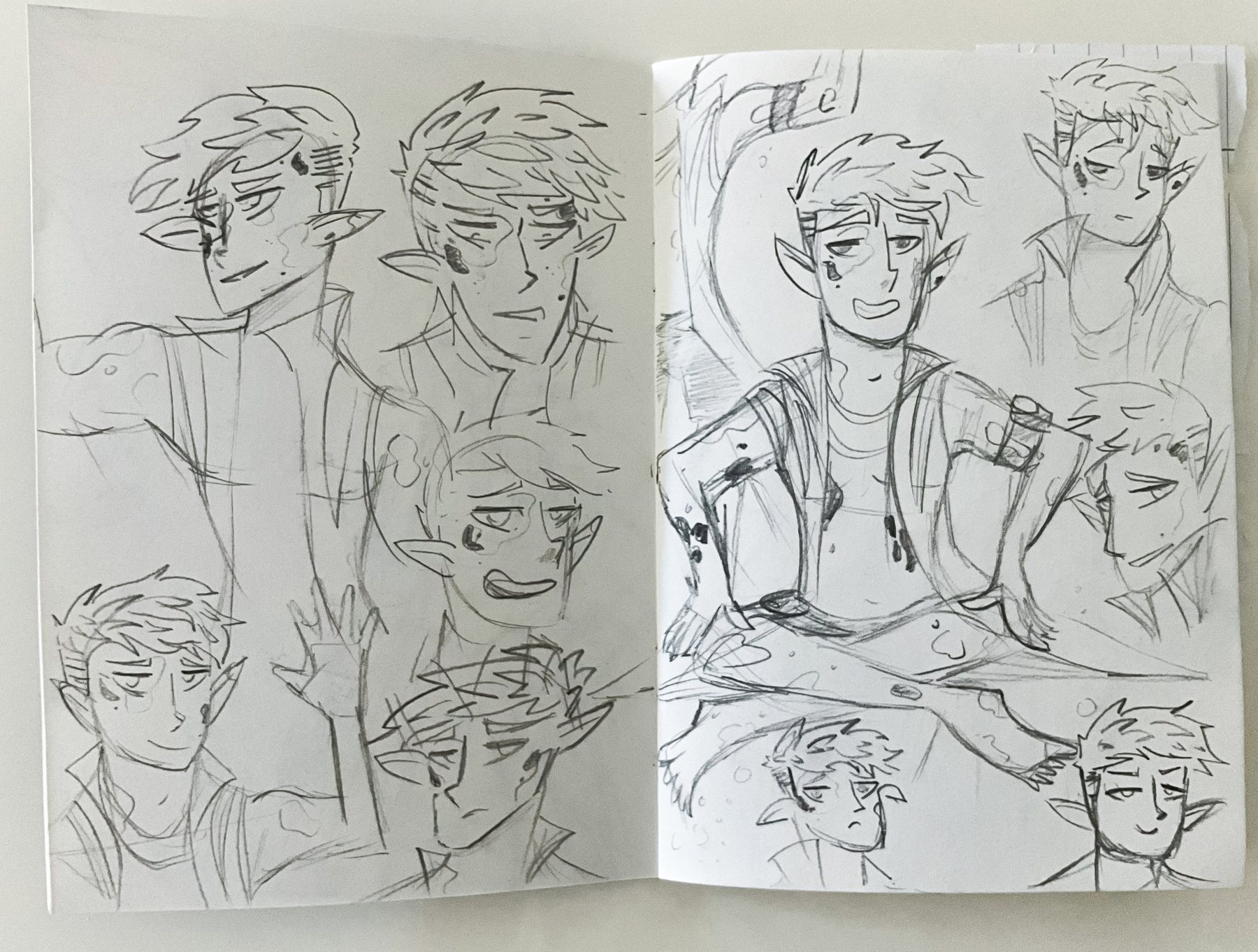 Pencil sketchbook spread exploring a new Koi