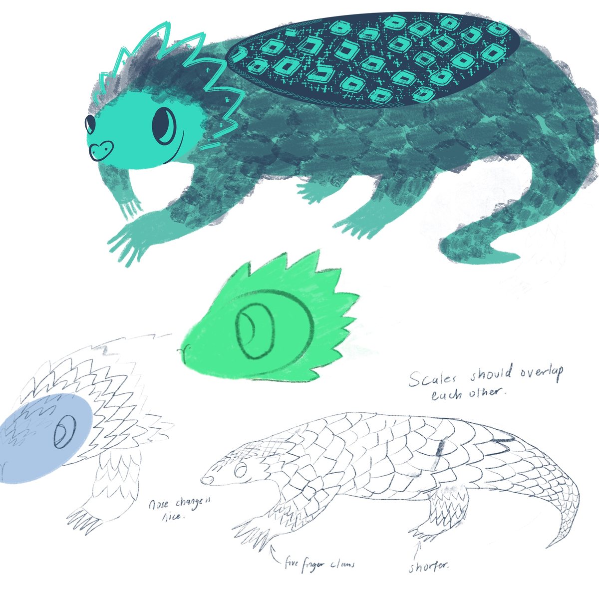 Pangolin scale and anatomy studies